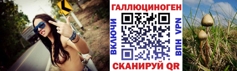 Галлюциногенные грибы MAGIC MUSHROOMS  Братск 